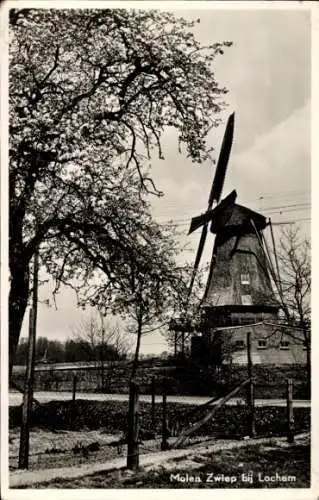 Ak Zwiep Gelderland, Windmühle