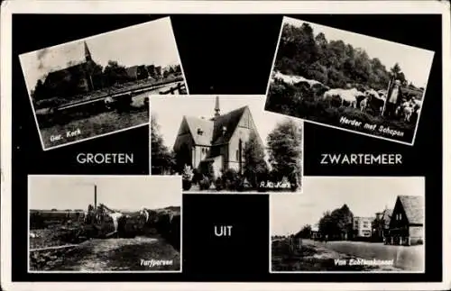 Ak Zwartemeer Emmen Drenthe, Kirche, Hirte, Schafe, Van Echtenskanaal