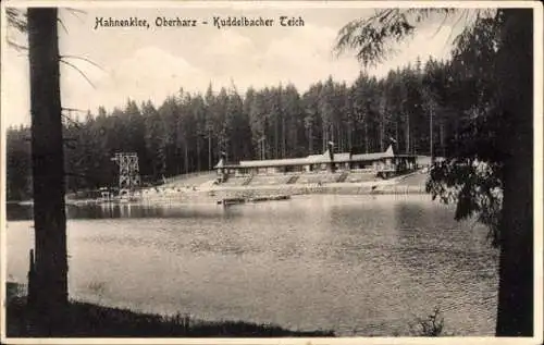 10 alte Ansichtskarten Hahnenklee Bockswiese Goslar, diverse Ansichten