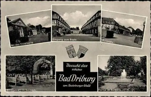 6 alte Ansichtskarten Bad Driburg im Kreis Höxter, Diverse Ansichten