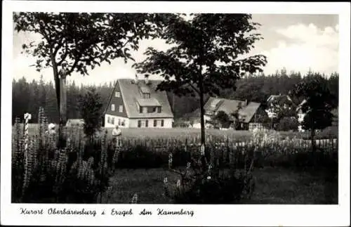10 alte Ansichtskarten Bärenburg Altenberg im Erzgebirge, Diverse Ansichten