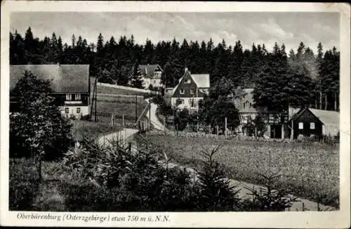 10 alte Ansichtskarten Bärenburg Altenberg im Erzgebirge, Diverse Ansichten