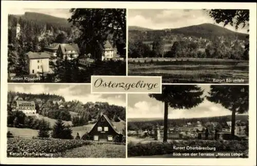 10 alte Ansichtskarten Bärenburg Altenberg im Erzgebirge, Diverse Ansichten