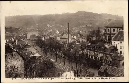 Ak Moyenmoutier Vosges, Panorama pris du Chemin de la Haute Pierre, Straßenpartie