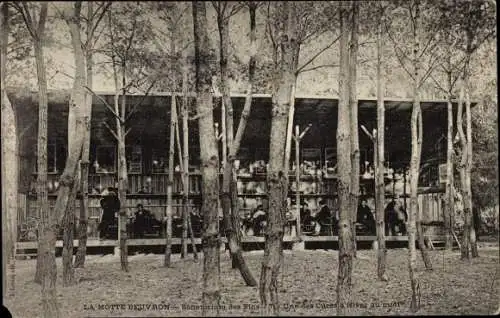 Ak Lamotte Beuvron Loir et Cher, Sanatorium des Pines, Une des Cures d'HIver au midi