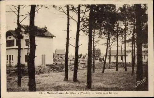 Ak Notre Dame de Monts Vendée, Villas dans les pins, Wohnhäuser am Wald