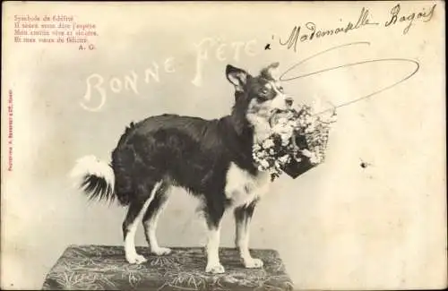 Ak Glückwunsch, Bonne Fete, Hund mit Blumenkorb im Maul