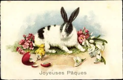 Ak Glückwunsch Ostern, Joyeuses Paques, Osterhase, geschlüpftes Küken, Schneeglöckchen