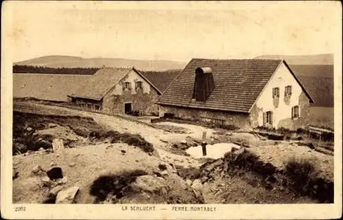 Ak Col de la Schlucht Lothringen Vosges, Ferme Montabey