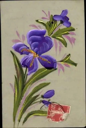 Zelluloid Ak Iris, Blüten