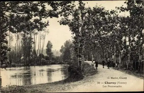 Ak Charny Yonne, Les Promenades