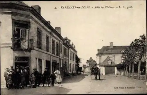 Ak Varennes sur Loire Maine et Loire, Allee des Platanes