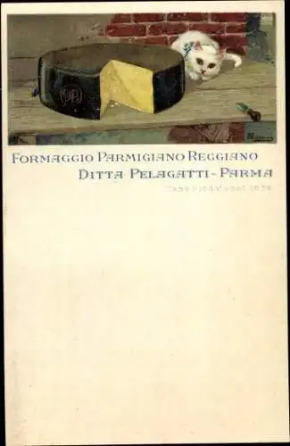 Litho Formaggio Parmigiano Reggiano, Ditta Pelagatti Parma, Käse, Hauskatze