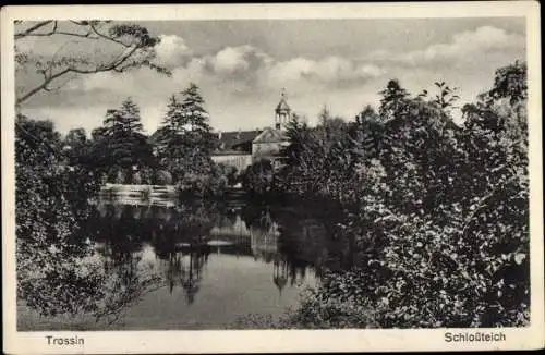 Ak Roitzsch Trossin in der Dübener Heide, Schlossteich