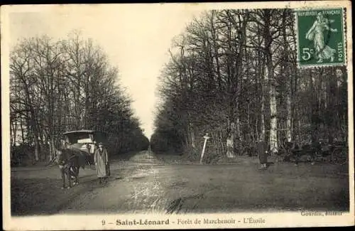 Ak Saint-Léonard-en-Beauce Loir et Cher, Foret de Marchenoir, l'Etoile