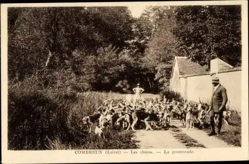 Ak Combreux Loiret, Les chiens, La promenade