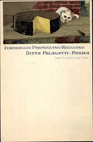 Litho Formaggio Parmigiano Reggiano, Ditta Pelagatti Parma, Käse, Hauskatze