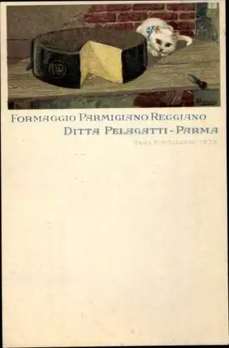 Künstler Ak Parma Emilia Romagna, Formaggio Parmigiano Reggiano, Pelagatti Parma, Käse, Katze