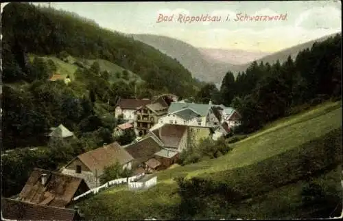 Ak Bad Rippoldsau Schapbach im Schwarzwald, Panorama