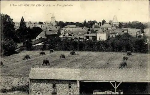 Ak Aubigne Briand Maine-et-Loire, vue générale, champ