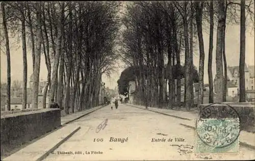 Ak Baugé Maine et Loire, entrée de ville, allée