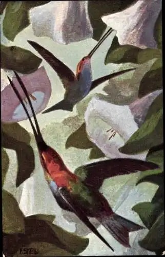 Künstler Ak Skell, F., Zwei fliegende rot grüne Vögel