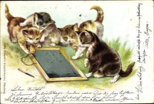 Künstler Ak Katzenjungen spielen mit einer Schreibtafel