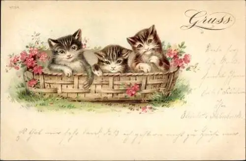 Künstler Ak Katzenjungen in einem Korb