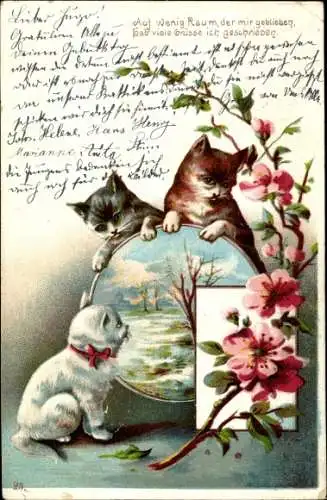 Künstler Litho drei Katzen, Blütenzweig, Landschaft