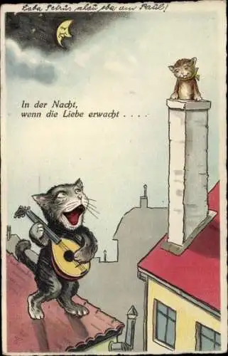 Künstler Ak In der Nacht, wenn die Liebe erwacht, Katze mit Laute auf einem Hausdach, WSSB 9756 2