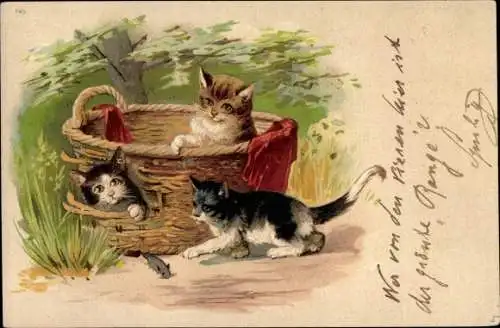 Litho Katzen in einem Korb jagen eine Maus