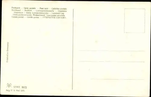 Präge Ak Katzenmutter mit ihren raufenden Jungen, PFB 8672