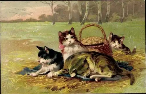 Präge Ak Katzenfamilie mit einem Korb auf einem Feld, PFB 7768