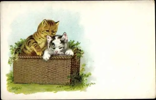 Litho Katzen in einem Korb