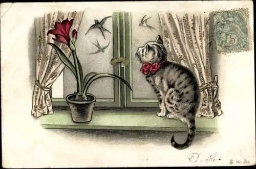 Litho Katze schaut aus Fenster, Vögel, Blume