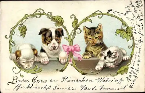 Präge Litho Katzen und Hunde schauen über ein Brett