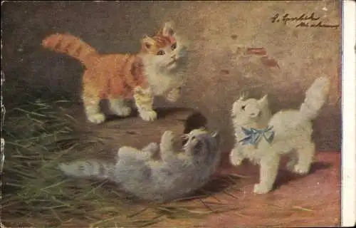 Künstler Ak Sperlich, S., Verspielte Katzen