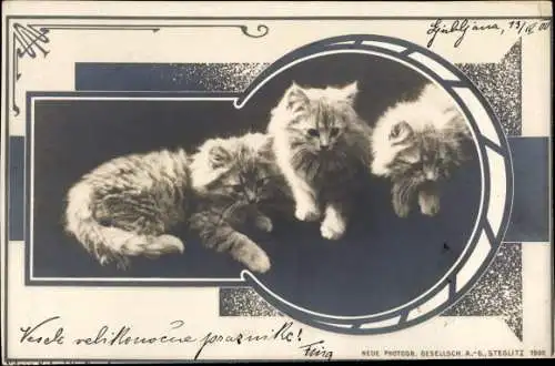 Jugendstil Passepartout Ak Drei kleine Katzen