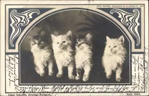 Jugendstil Passepartout Ak Vier kleine Katzen schauen nach oben