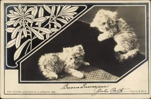 Jugendstil Passepartout Ak Zwei kleine Katzen