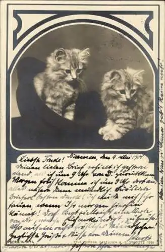 Passepartout Ak Zwei kleine Katzen