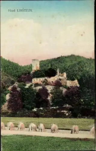 Ak Liblin Region Pilsen, Hrad Libstejn