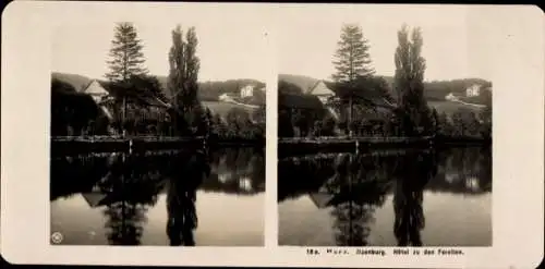 Stereo Foto Ilsenburg im Harz, Hotel zu den Forellen