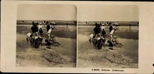 Stereo Foto Cuxhaven in Niedersachsen, Wattenlaufen