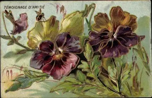 Präge Ak Kitsch, Stiefmütterchen, Blumen