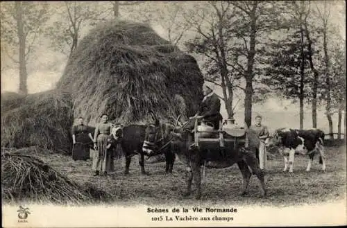 Ak-Szenen des normannischen Lebens, La Vachere aux champs