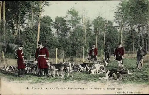 Ak Jagd im Wald von Fontainebleau, Hundemeute am Treffpunkt