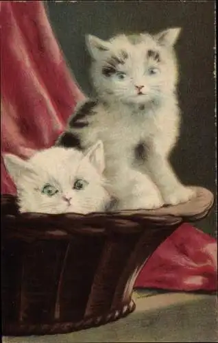 Ak Zwei junge Katzen in einem Korb