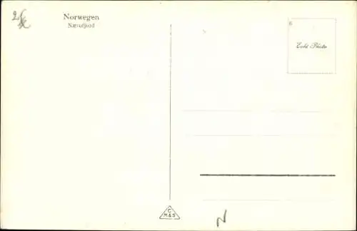 Ak Norwegen, Nærøyfjord, Landschaftspanorama, Talpartie, schneebedeckte Berge