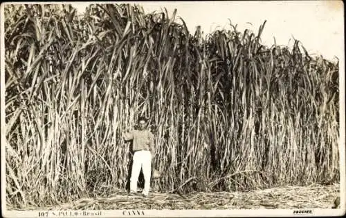 Foto Ak São Paulo Brasilien, Mann am Feld